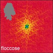 Calculated diffraction pattern for a floccose